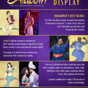 Fort Lauderdale Aladdin Costume Poster